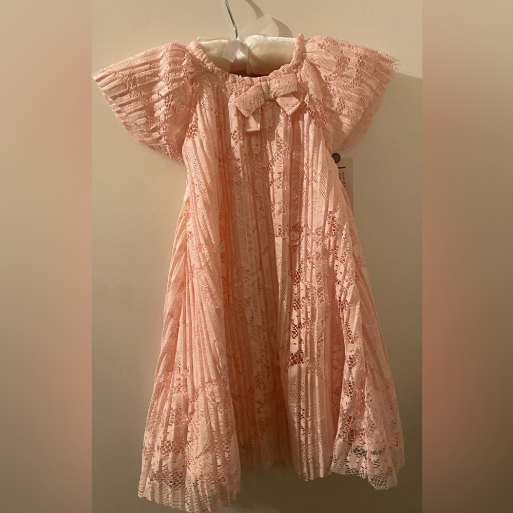 NWT Carters Just For You Pink Dress with Bloomers 18M
